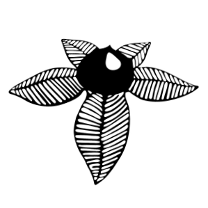 Atropa Ateliér
